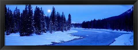 Framed Moon Rising Above The Forest, Banff National Park, Alberta, Canada Print