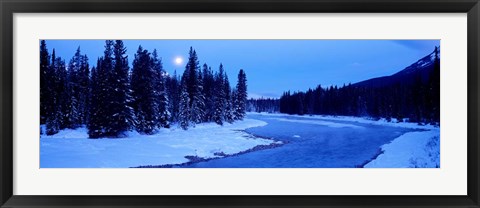 Framed Moon Rising Above The Forest, Banff National Park, Alberta, Canada Print