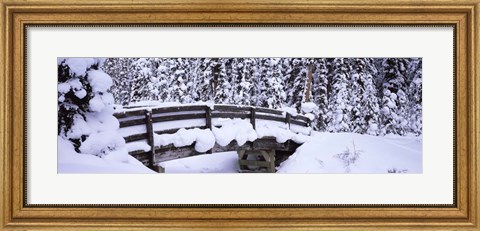 Framed Snowy Bridge in Banff National Park, Alberta, Canada Print