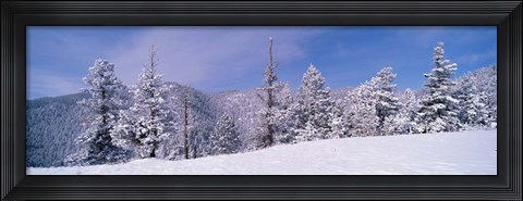 Framed Snow Covered Landscape, Colorado Print