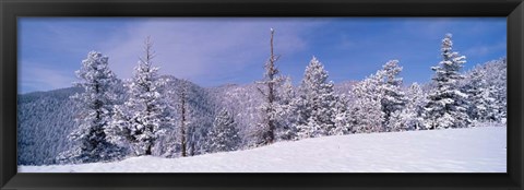 Framed Snow Covered Landscape, Colorado Print