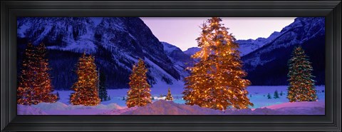 Framed Christmas Trees, Lake Louise, Alberta, Canada Print