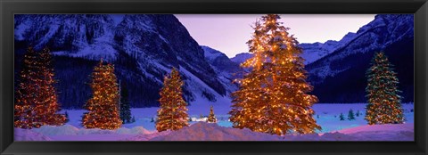 Framed Christmas Trees, Lake Louise, Alberta, Canada Print