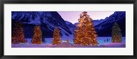 Framed Christmas Trees, Lake Louise, Alberta, Canada Print