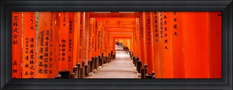 Framed Tunnel of Torii Gates, Fushimi Inari Shrine, Japan Print