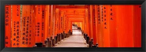 Framed Tunnel of Torii Gates, Fushimi Inari Shrine, Japan Print