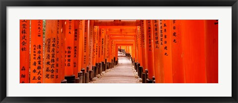 Framed Tunnel of Torii Gates, Fushimi Inari Shrine, Japan Print