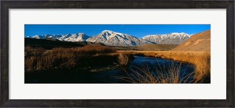 Framed Owens River, CA Print