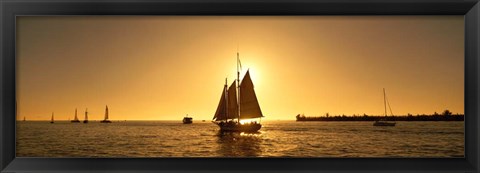 Framed Sailboat in Key West, Florida Print