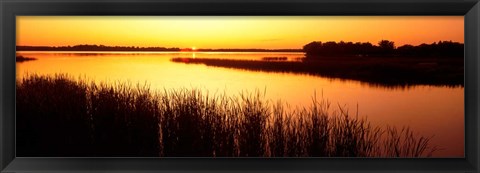 Framed Minnesota, Deer Lake Print