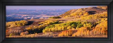 Framed Aspens Dixie National Forest, Utah Print