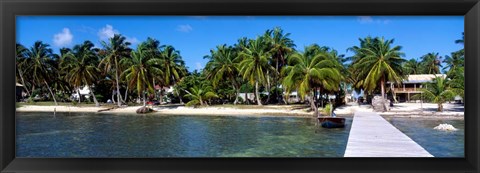 Framed Oceanfront Pier, Caye Caulker, Belize Print