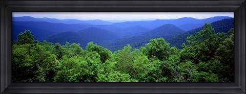 Framed Smoky Mountain National Park, Tennessee Print