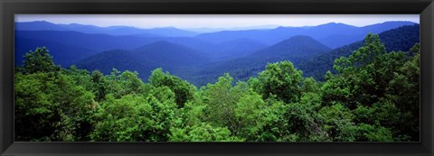 Framed Smoky Mountain National Park, Tennessee Print