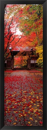 Framed Komyoji Temple, Kyoto, Japan Print