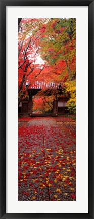 Framed Komyoji Temple, Kyoto, Japan Print