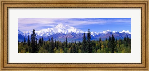 Framed Denali National Park, Alaska Print