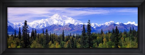 Framed Denali National Park, Alaska Print