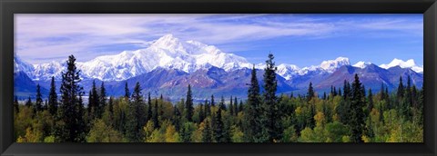 Framed Denali National Park, Alaska Print