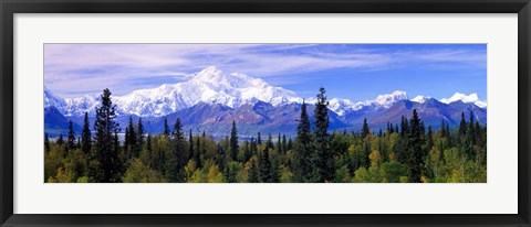 Framed Denali National Park, Alaska Print