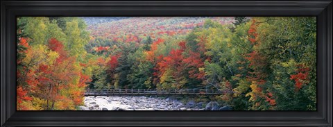Framed White Mountain National Forest, NH Print