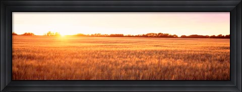 Framed Field in Canada Print