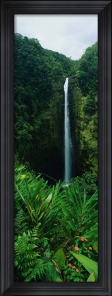 Framed Akaka Falls Print