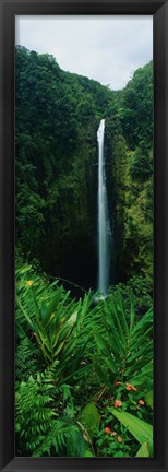 Framed Akaka Falls Print