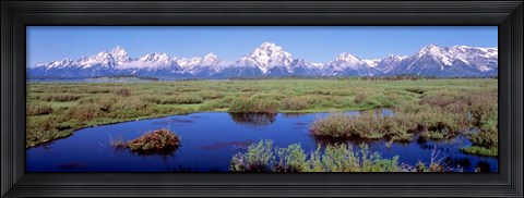 Framed Grand Teton Park, Wyoming (color) Print