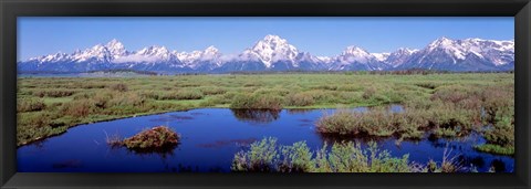 Framed Grand Teton Park, Wyoming (color) Print