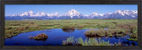 Framed Grand Teton Park, Wyoming (color) Print