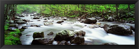 Framed Great Smoky Mountains, Tennessee Print