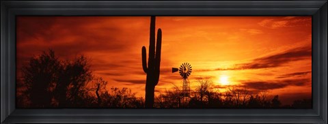 Framed Sonoran Desert Sunset, Arizona Print