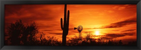 Framed Sonoran Desert Sunset, Arizona Print