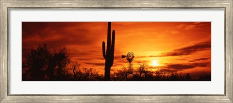 Framed Sonoran Desert Sunset, Arizona Print