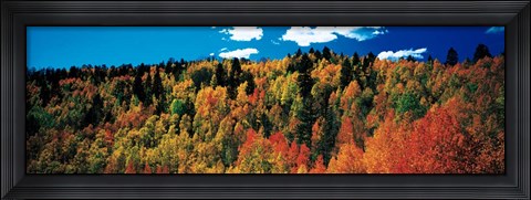Framed Fall Durango, Colorado Print