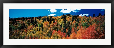 Framed Fall Durango, Colorado Print