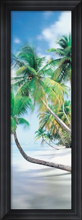 Framed Pigeon Point, Tobago Print