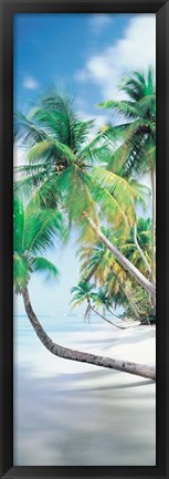 Framed Pigeon Point, Tobago Print