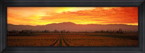 Framed Sunset over Napa Valley Print