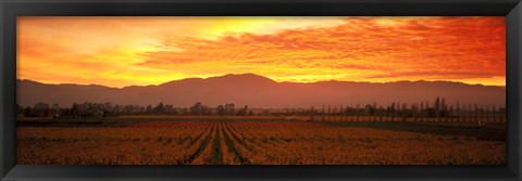 Framed Sunset over Napa Valley Print