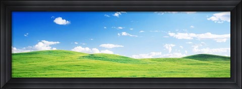 Framed Fields Whitman Co, WA Print