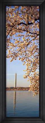 Framed Washington DC Print