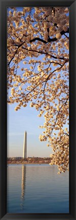 Framed Washington DC Print