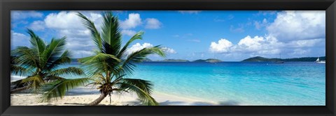 Framed Salomon Beach, US Virgin Islands Print