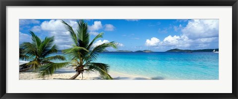 Framed Salomon Beach, US Virgin Islands Print