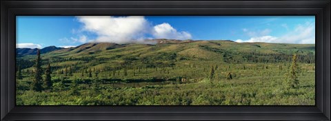 Framed Denali National Park, Alaska Print