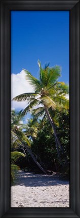 Framed US Virgin Islands Print
