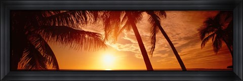 Framed Fort Meyers Florida Sunset Print