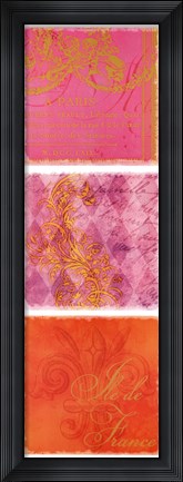 Framed Sorbet Script Paris I Print